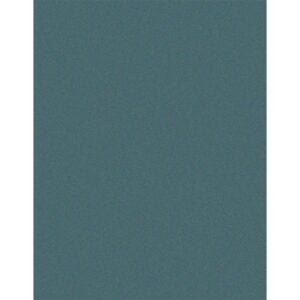 MP waterproof sandpaper "New Edition" 230 x 280 mm unperforated P 3000 (Mipa)